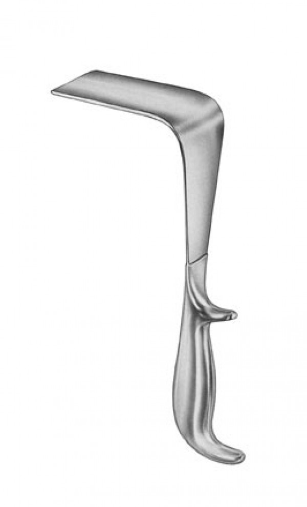 Valva de Doyen, 85 x 45 mm. (HASTA FIN DE EXISTENCIAS) Valva de Doyen, 85 x 45 mm. (HASTA FIN DE EXISTENCIAS)